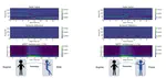 SleepPoseNet: multi-view learning for sleep postural transition recognition using UWB